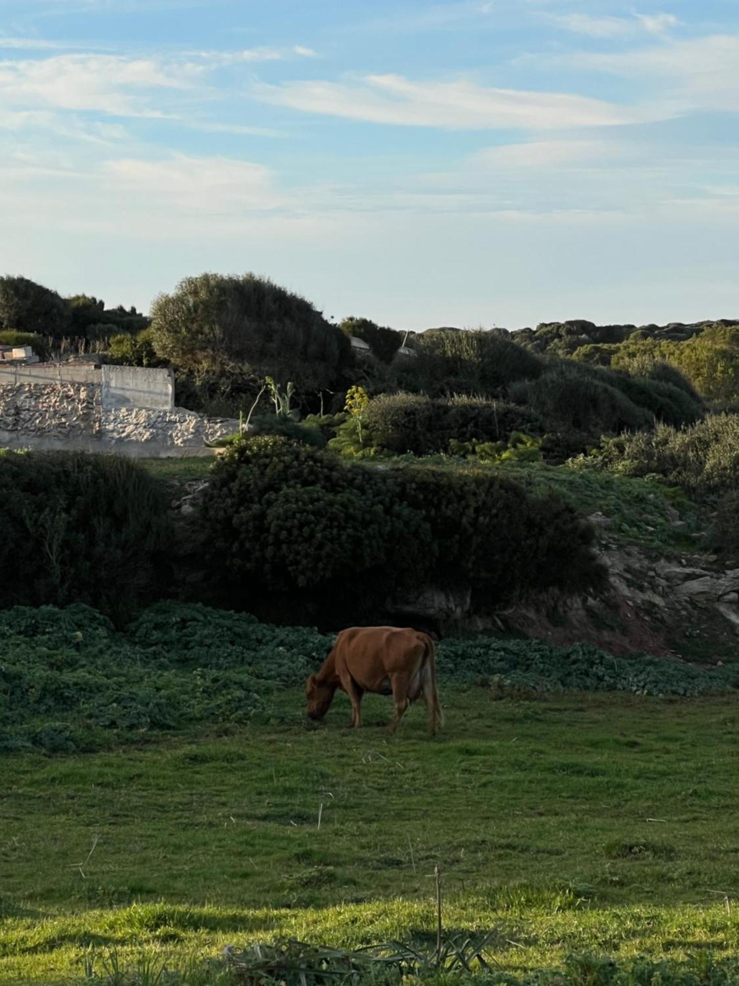 Mongofre Agroturismo Mahón Esterno foto